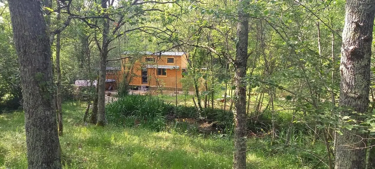 פיג'אק Mini Maison Tiny House Et Son Bain Nordique